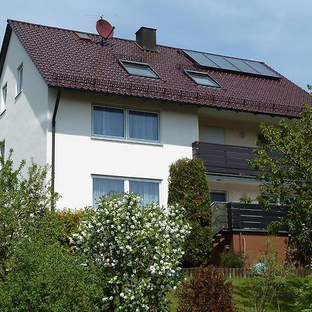 Апартаменты Haus Burgblick Neuhaus an der Pegnitz Экстерьер фото